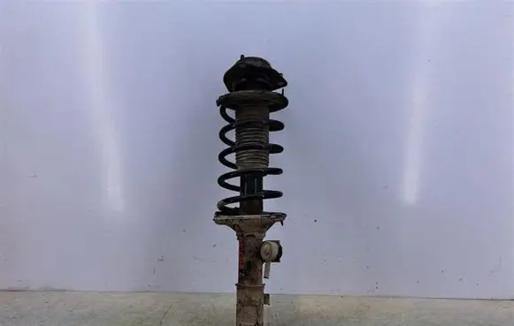 Hyundai Getz Front shock absorber with coil spring