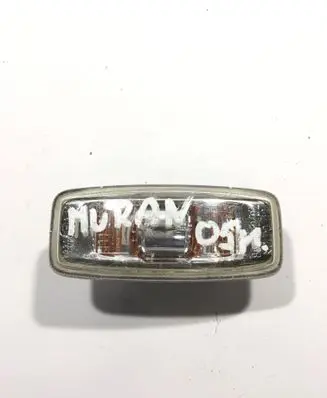 Front fender indicator light