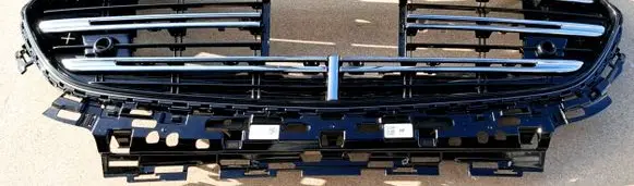 Mercedes-Benz E W214 Front grill A2148806001
