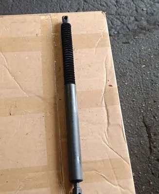 Tailgate/trunk strut/damper