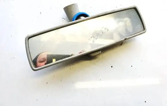 Volkswagen Golf V Rear view mirror (interior) e1010761