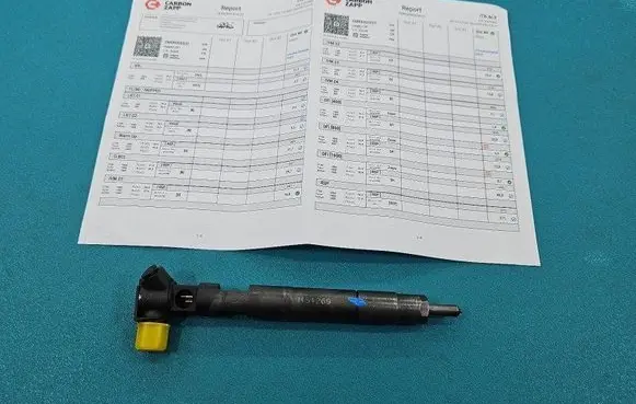 Jeep Compass Fuel injector EMBR00002D IMPRK1454269