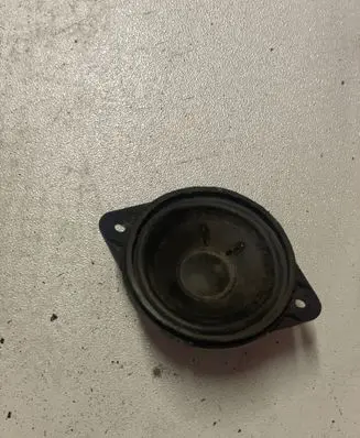 Panel speaker