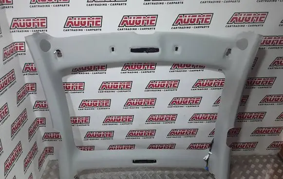 Tesla Model 3 Headlining 110106601F A133504 19049379002