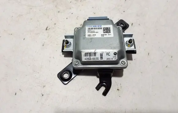 KIA EV6 Other control units/modules 4295118155