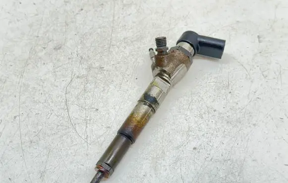 Renault Scenic IV - Grand scenic IV Fuel injector 166006212R