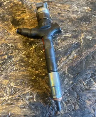 Opel Signum Fuel injector 10G02041 0800