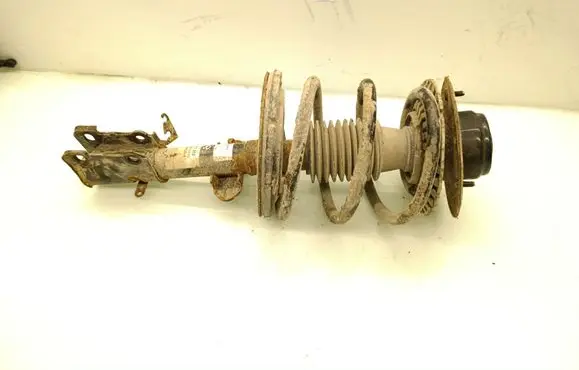 Chrysler Voyager Front shock absorber/damper 824903007071