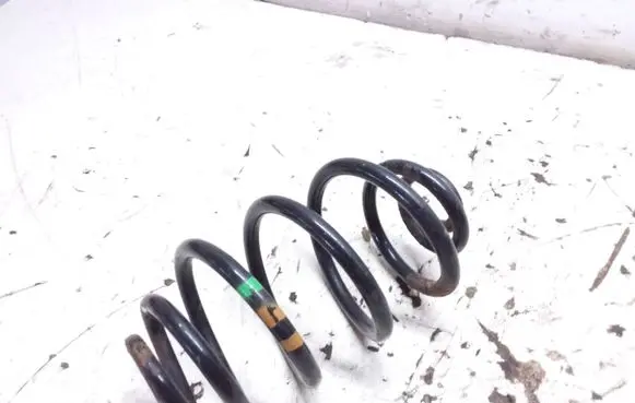 Rear coil spring