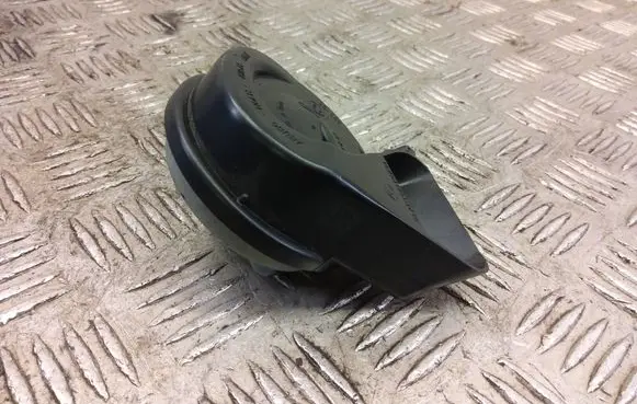 Renault Zoe Horn signal