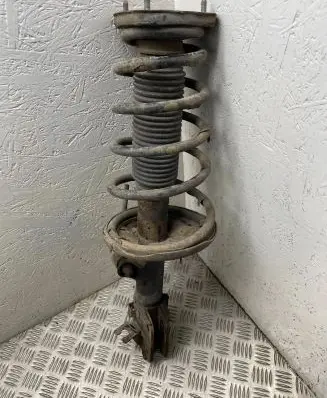 Hyundai Tucson JM Rear shock absorber with coil spring 