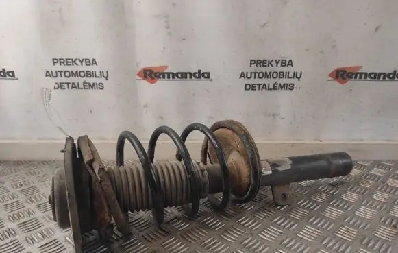 Peugeot 206 Front shock absorber with coil spring