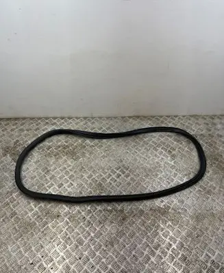 Peugeot 508 II Rear door rubber seal (on body) 9813388380