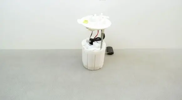 Hyundai i10 In-tank fuel pump 31110K7200