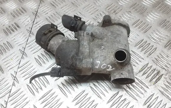 Thermostat/thermostat housing