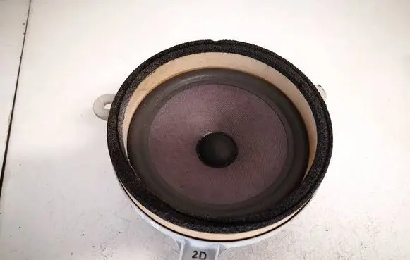 Front door speaker