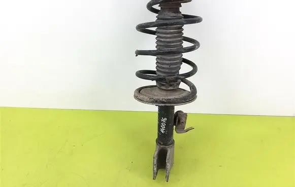 Peugeot 307 Front shock absorber with coil spring