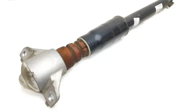 Rear shock absorber/damper