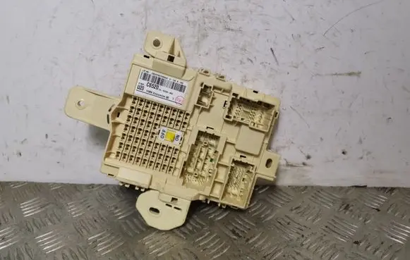 KIA Sorento Fuse module 91950C6520