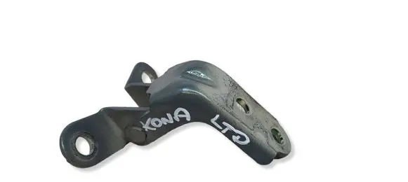Hyundai Kona I Rear door lower hinge HYUNDAIKONA