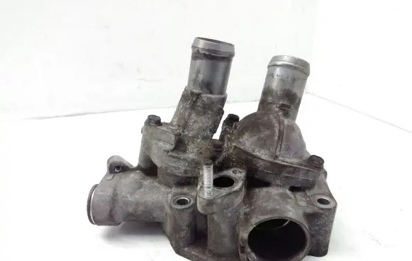 Thermostat/thermostat housing