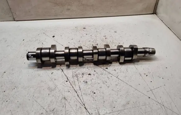 Volkswagen Sharan Camshaft pulley/ VANOS 03810911E