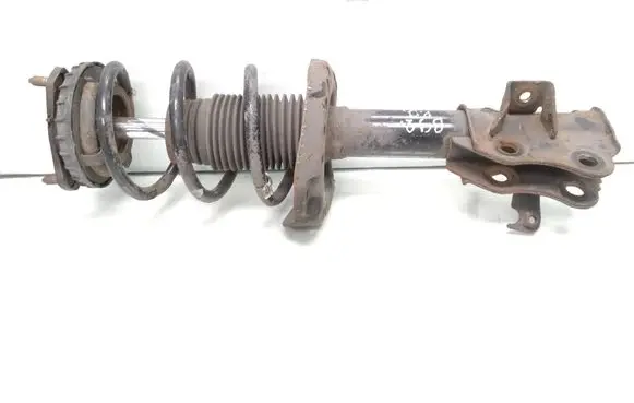 Front shock absorber with coil spring