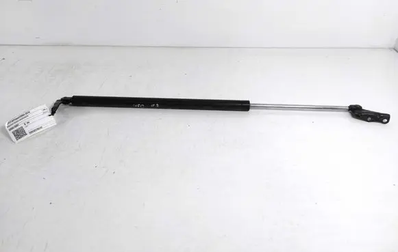 Tailgate strut