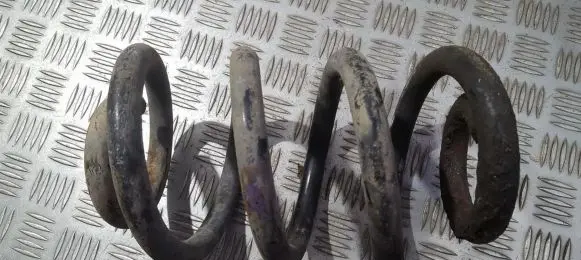 Front coil spring