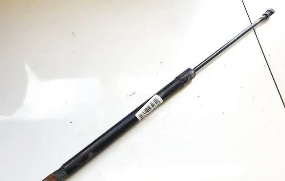 Tailgate/trunk strut/damper