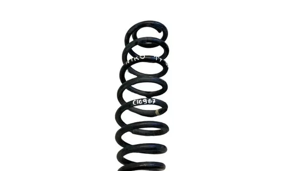 Rear coil spring