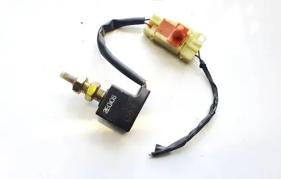 Hyundai Trajet Brake pedal sensor switch