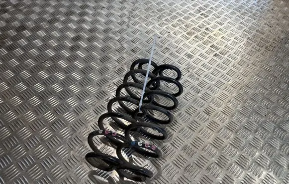 Audi Q5 SQ5 8R Rear coil spring