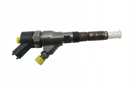 Peugeot Boxer Fuel injector 0445110076