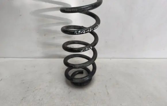 Rear coil spring