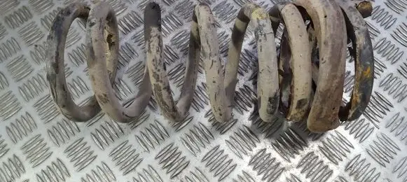 KIA Carnival Rear coil spring