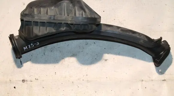 Intake resonator