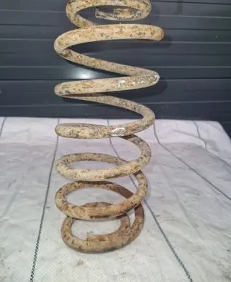 Rear coil spring