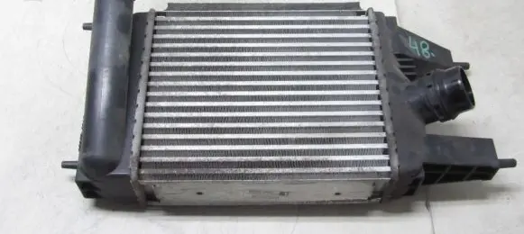 Nissan Juke I F15 Intercooler radiator 144613ZU0B