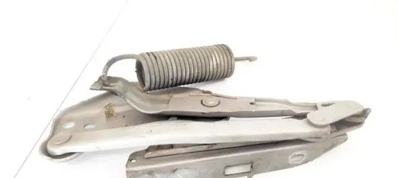 Tailgate/trunk/boot hinge