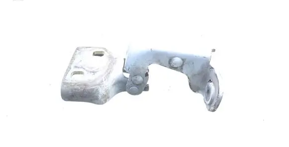 Renault Trafic II (X83) Front door lower hinge 311772M 66380