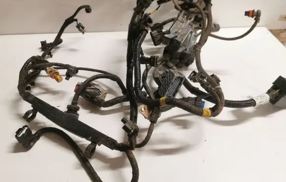 Buick Encore I Front door wiring loom 42600367