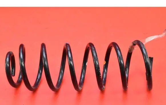 Rear coil spring