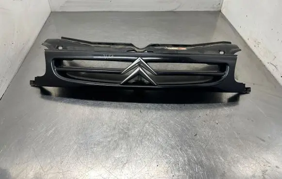 Citroen Berlingo Front grill 9635603977