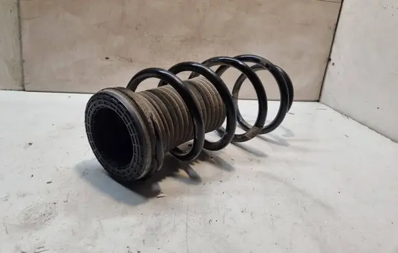 Front coil spring