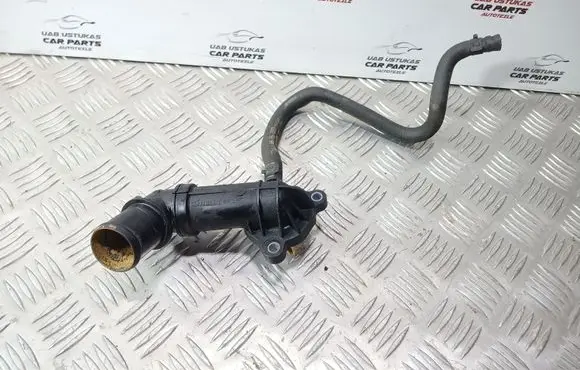 Thermostat/thermostat housing
