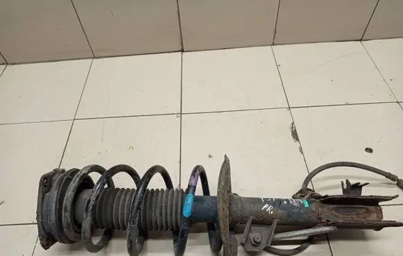 Nissan Qashqai Front shock absorber with coil spring 824903002