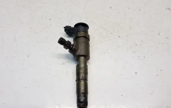 Citroen C4 II Fuel injector 0445110340