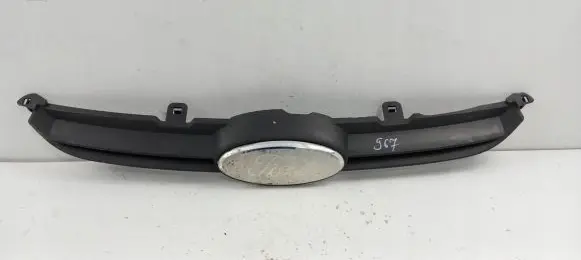 Ford Fiesta Front grill