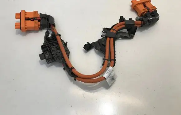 Cupra Born Other wiring loom 1EA971015AA 1EA015V1